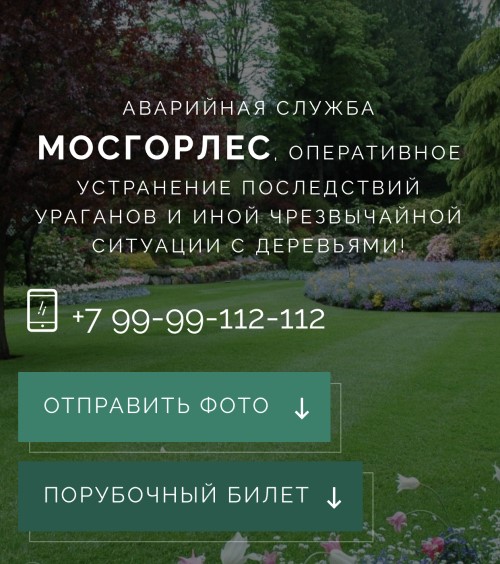 Web-студия The Key в Москве. Открываем новые возможности с 2010 года